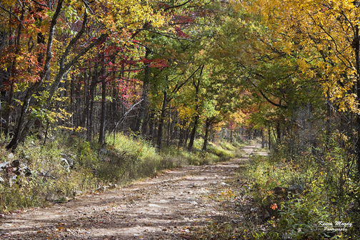 Kevin Moody Photography, landscapes, portrait, city scapes, weddings, fine art, photography
