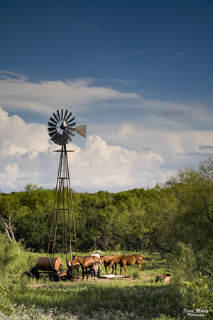 Kevin Moody Photography, landscapes, portrait, city scapes, weddings, fine art, photography
