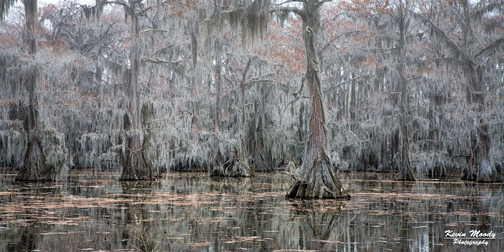 Kevin Moody Photography, landscapes, portrait, city scapes, weddings, fine art, photography